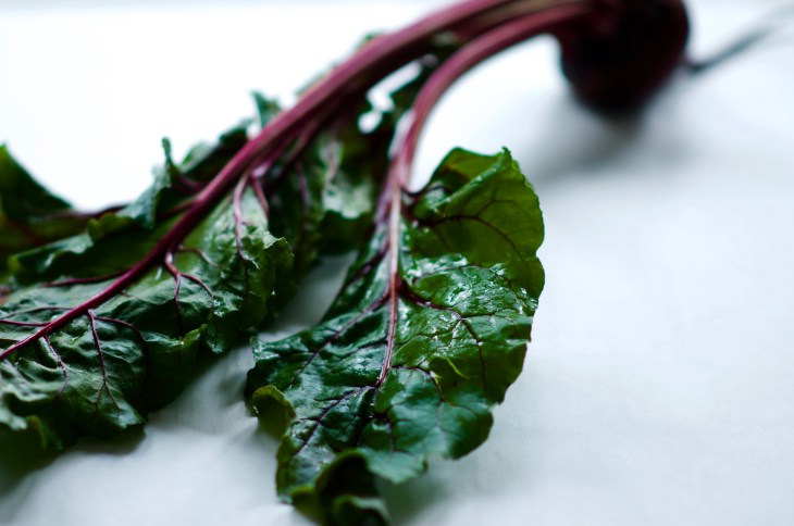 Roasted Beet and Feta Hummus