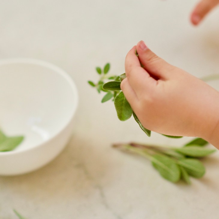 Vegetarian Roasted Butternut Squash Lasagna with hazelnuts