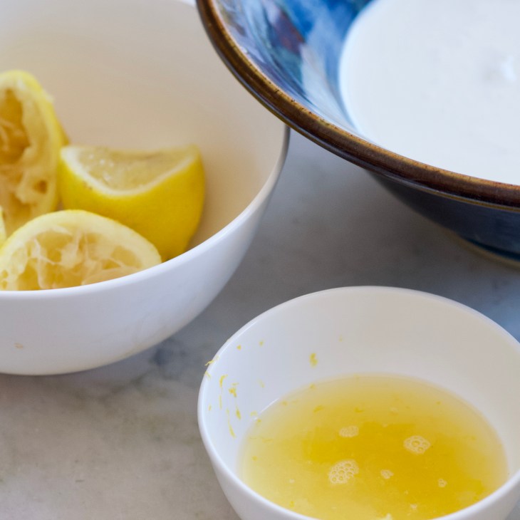 No Churn Fresh Lemon Ice Cream