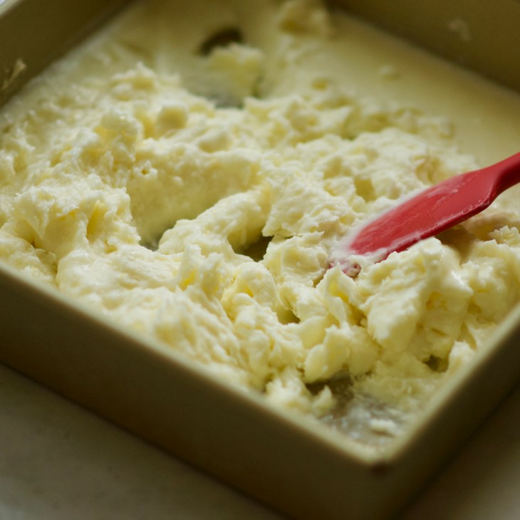 Quick No Churn Fresh Lemon Ice Cream