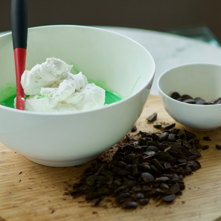 No churn ice cream fresh mint chocolate chip