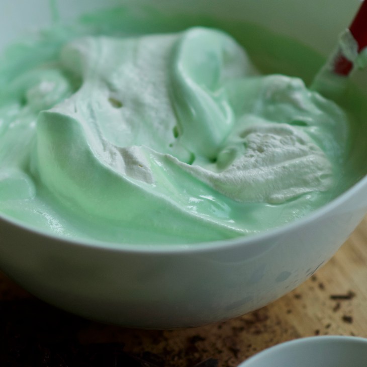 No churn ice cream fresh mint chocolate chip