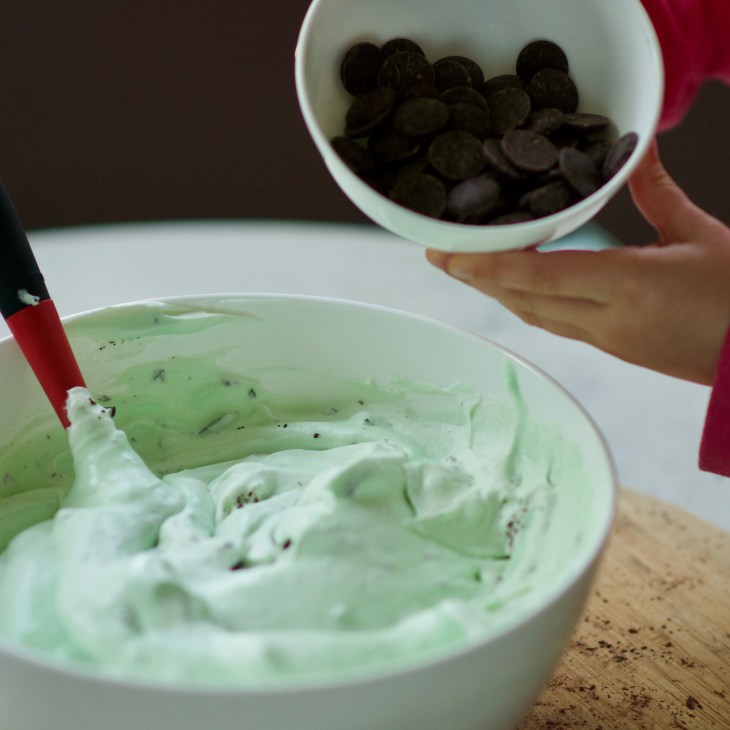 Simple No churn ice cream fresh mint chocolate chip