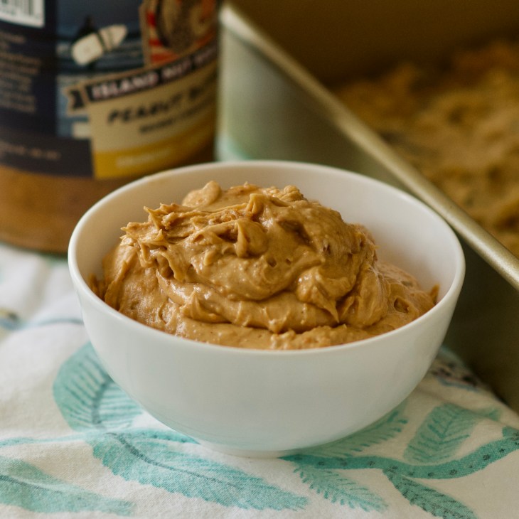 Peanut Butter Squares with chocolate chips and peanut butter icing